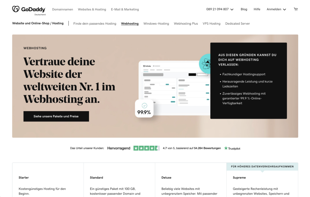 Website hosting GoDaddy Vergleich She Succeeds